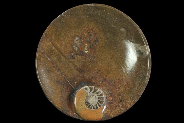 Round Fossil Goniatite Dish #77689